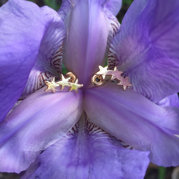 ❗️LAST❗️Star Stud Earrings - Picture 3 of 8